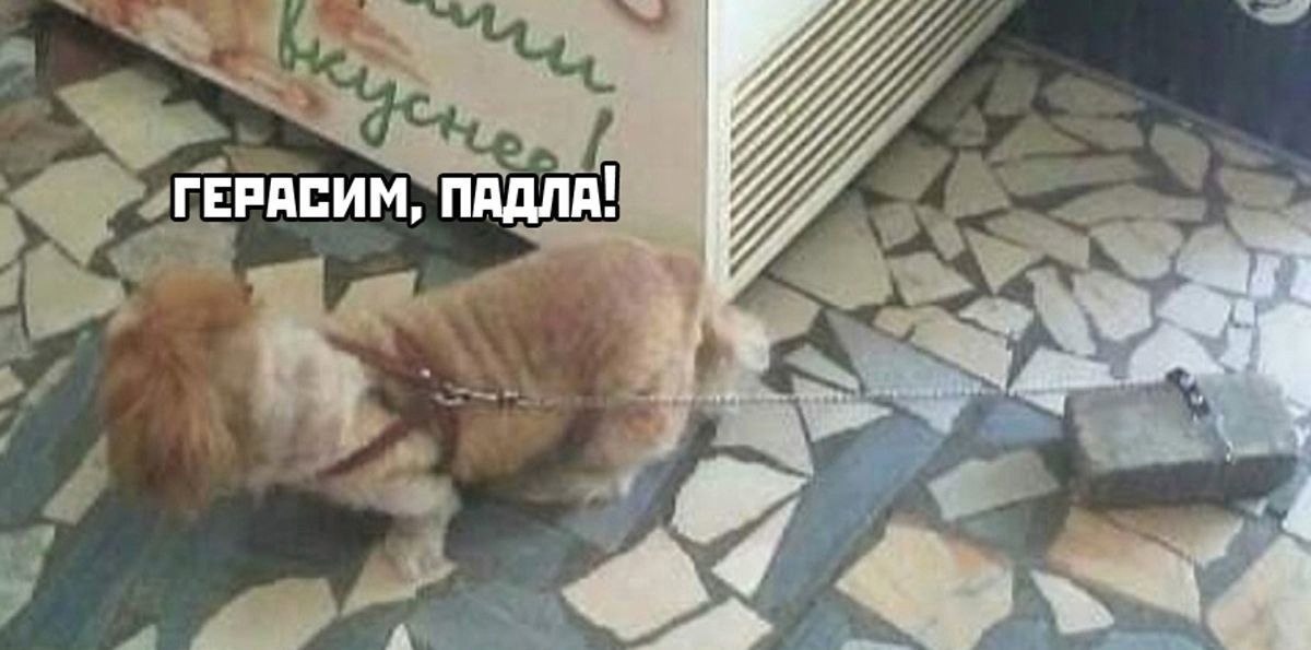     - 2