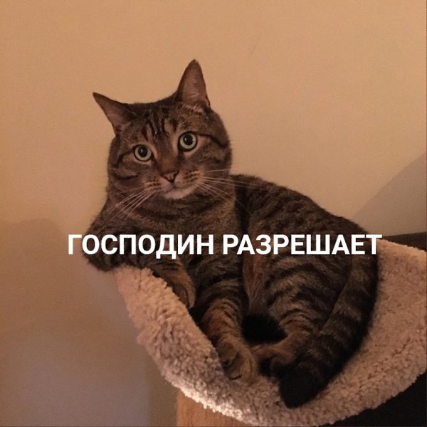 ,     ? - 2