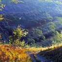 ���� ������, ����� - ��������� 9 ������� 2021 � ������ ��������