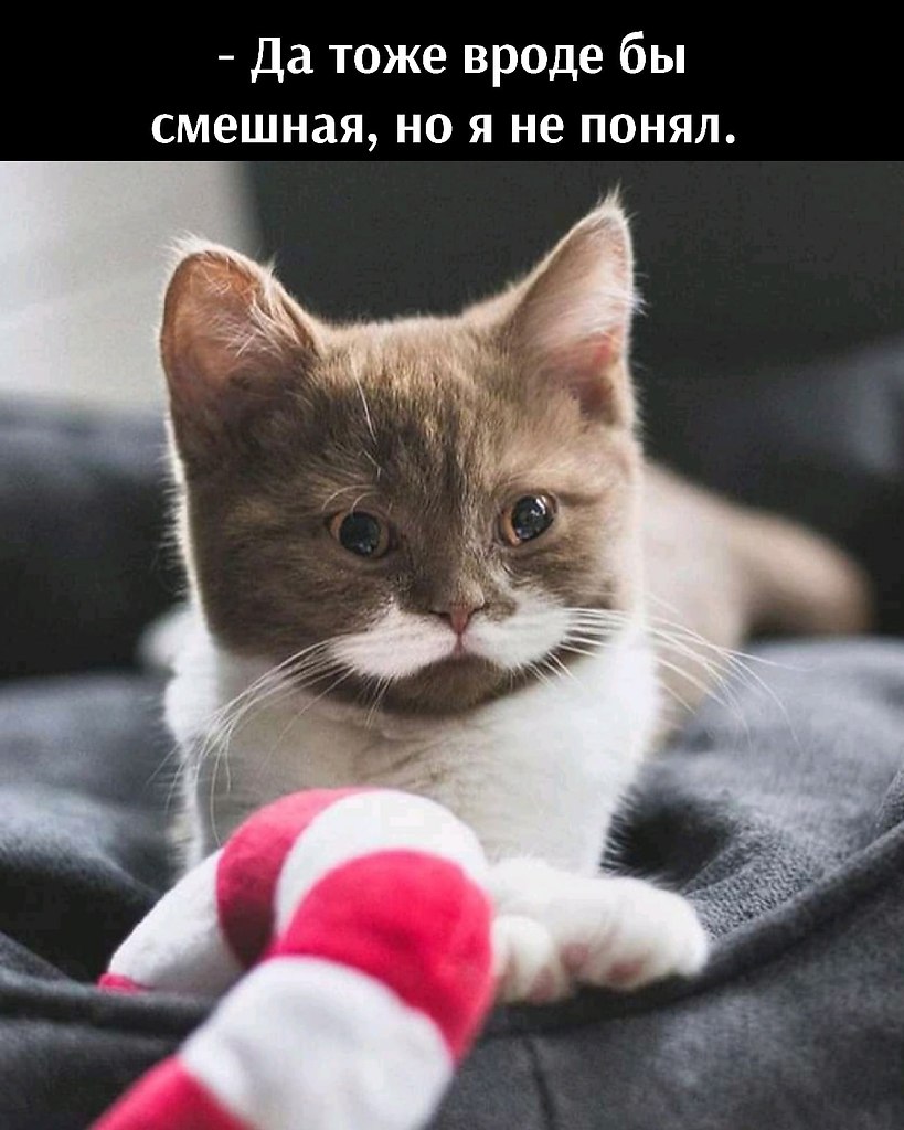       - 24  2021  16:28 - 2