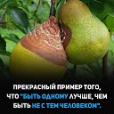 ���� �����, ������������ - ��������� 28 ������ 2021 � ������ ������ ��������