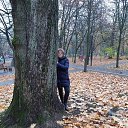 ���� �������, ������, 51 ��� - ��������� 5 ������� 2021