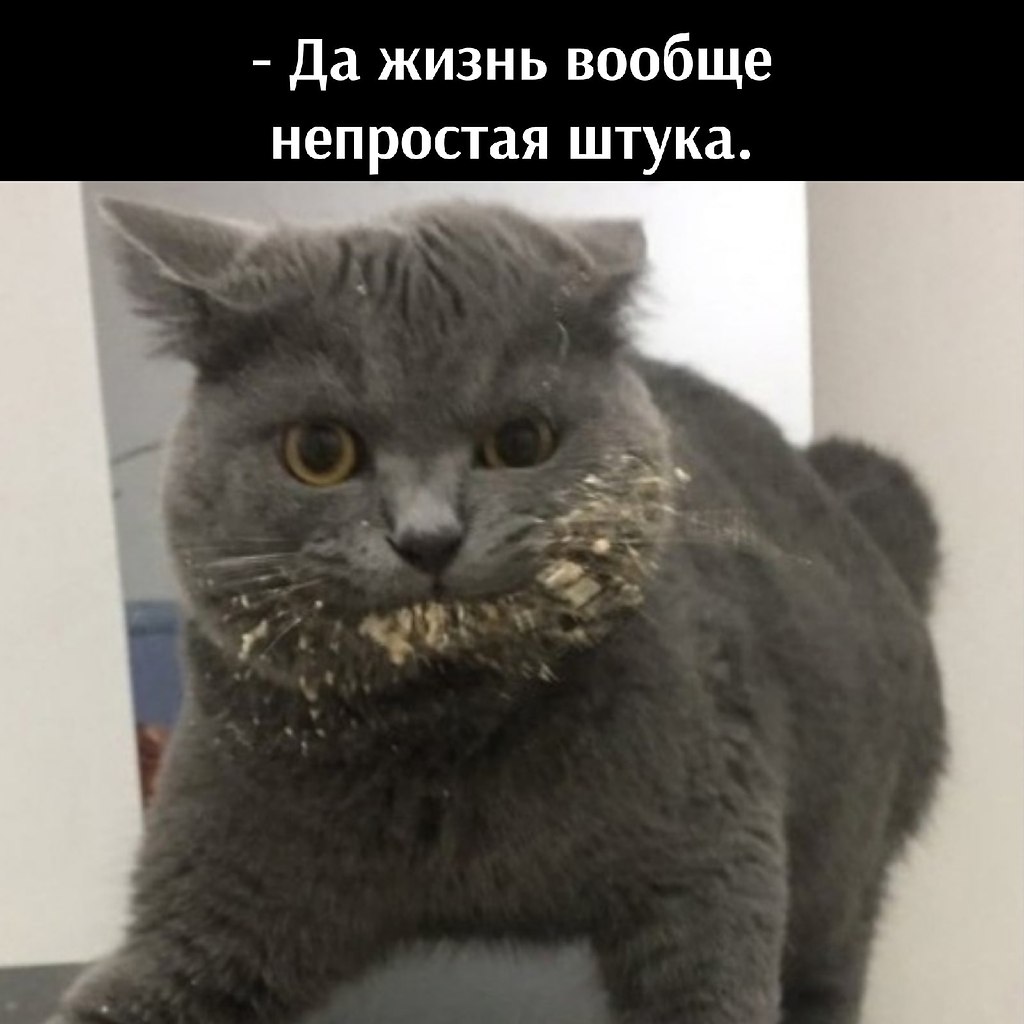       - 8  2021  21:36 - 3