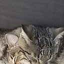 ���� ������, ����, 54 ���� - ��������� 20 ��� 2021 � ������ ������ ��������