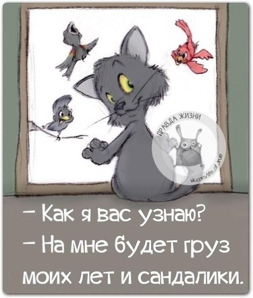   - 9  2021  23:58