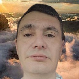 , , 49 