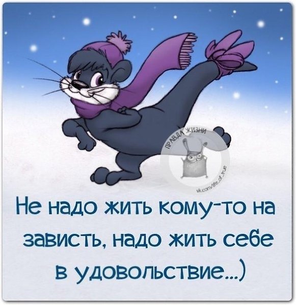 ������ ����� - 11 ������ 2021 � 16:12