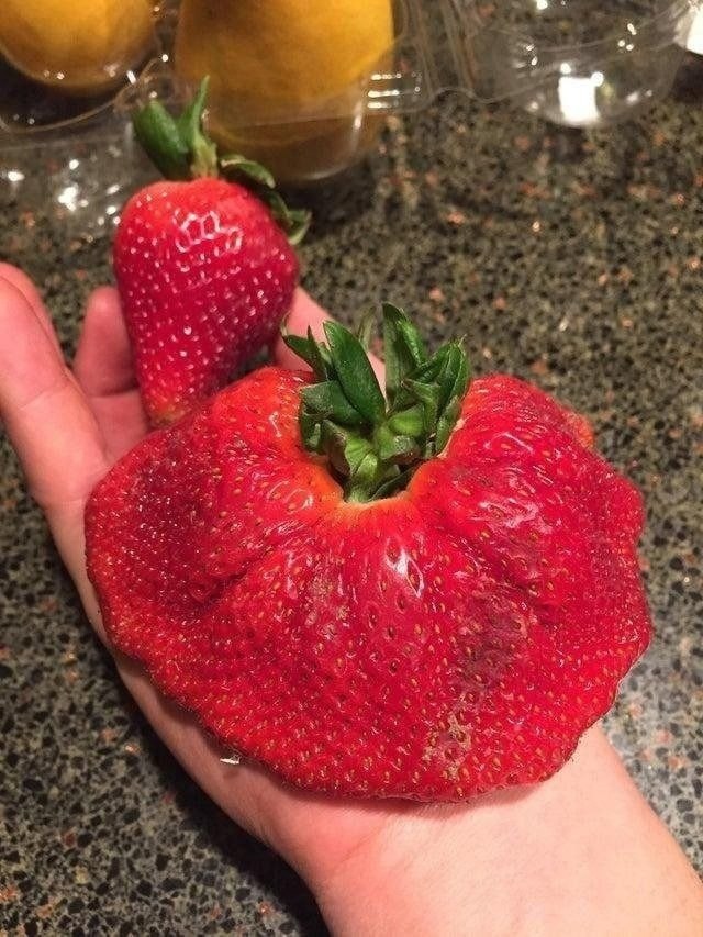    - 3