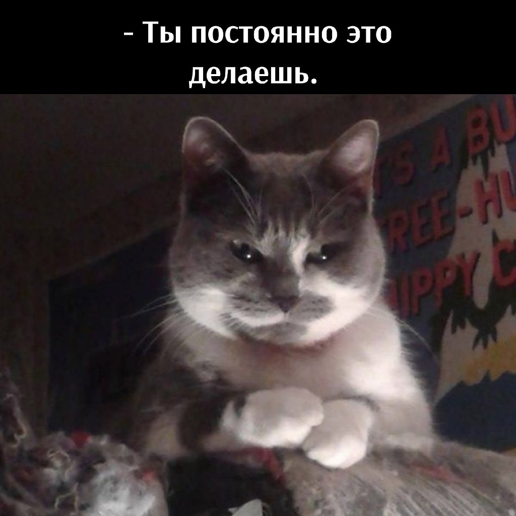       - 8  2021  21:36 - 2
