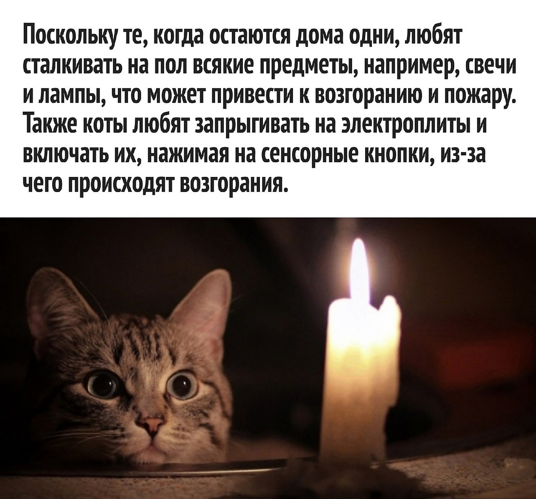       - 18  2022  18:25 - 3