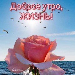 ���� Nika, ����, 61 ��� - ��������� 14 ���� 2021
