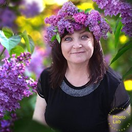 ����, �����-���������, 55 ���