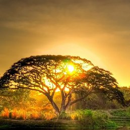 ��������, ������, 38 ���