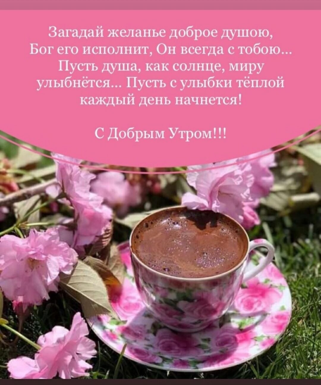 ***Victoria Viktorovna*** - 14  2021  04:56
