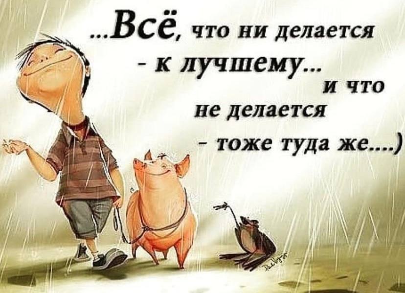   - 11  2021  14:24