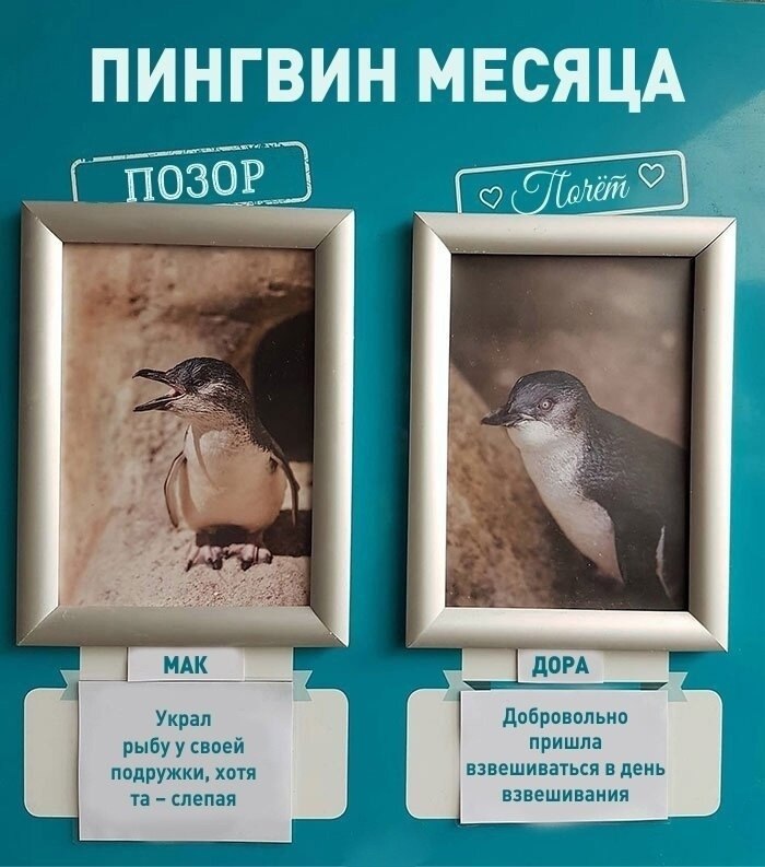            ... - 2