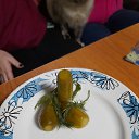 ���� ��������, �������, 47 ��� - ��������� 1 ������ 2022 � ������ ������ ��������