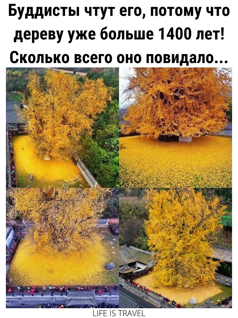LIFE -  - 7  2022  10:08 - 2