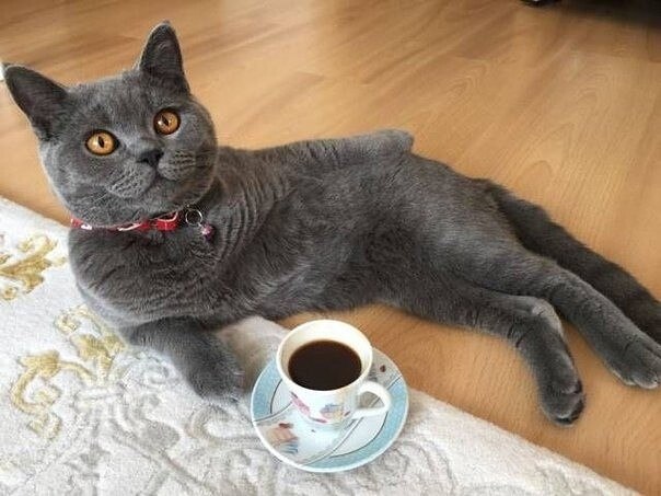  , )))
