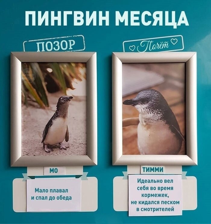            ... - 3