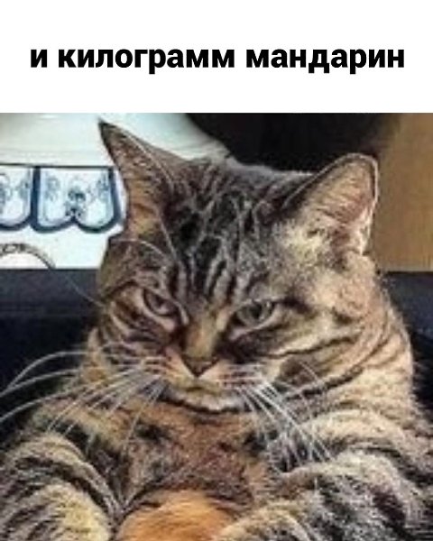 � ���� ������ ���� �������! ������� - 4