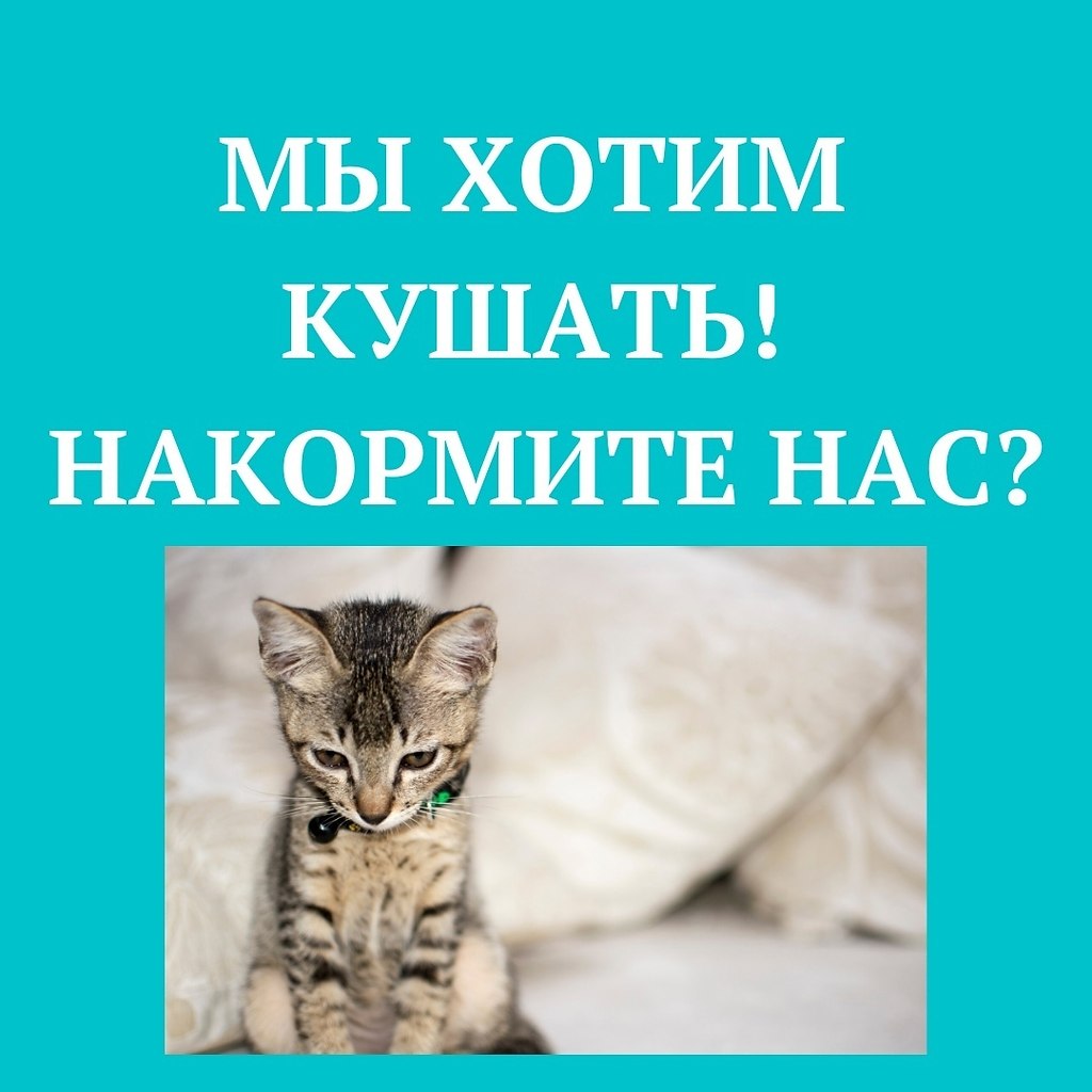     !  -       ...