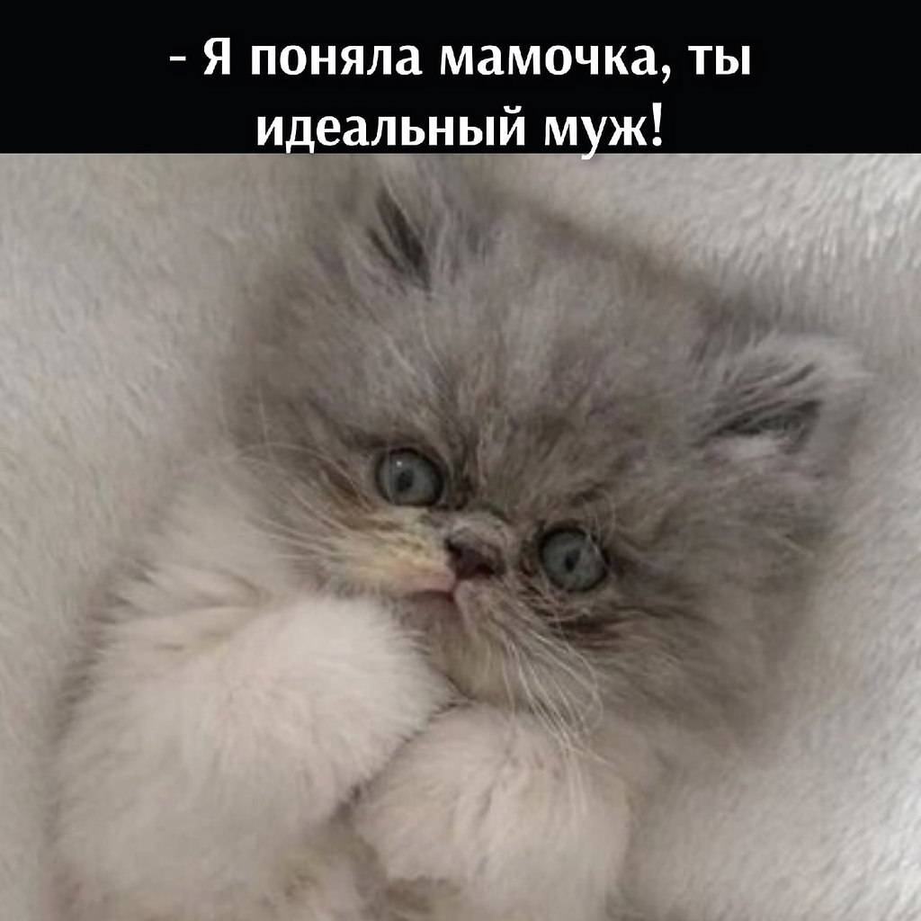       - 15  2021  22:41 - 3
