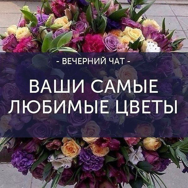   ,    . - 8  2021  20:04