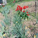  , , 73  -  3  2021      2021