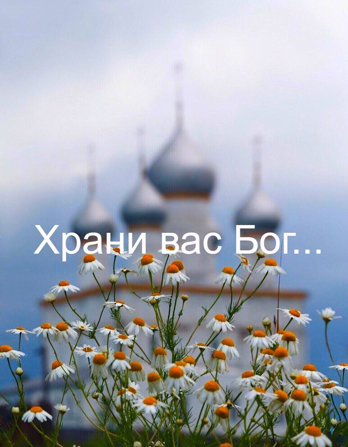***Victoria Viktorovna*** - 16  2021  04:47