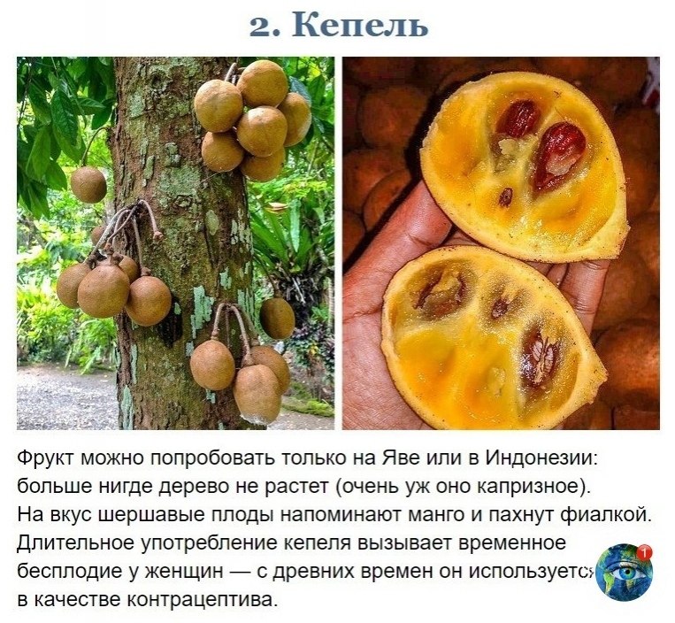 10 p oec pyo, oope  oo   p pa - 2
