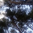 ���� Haver Santa, ���������� ����� - ��������� 28 ���� 2021 � ������ �:)�