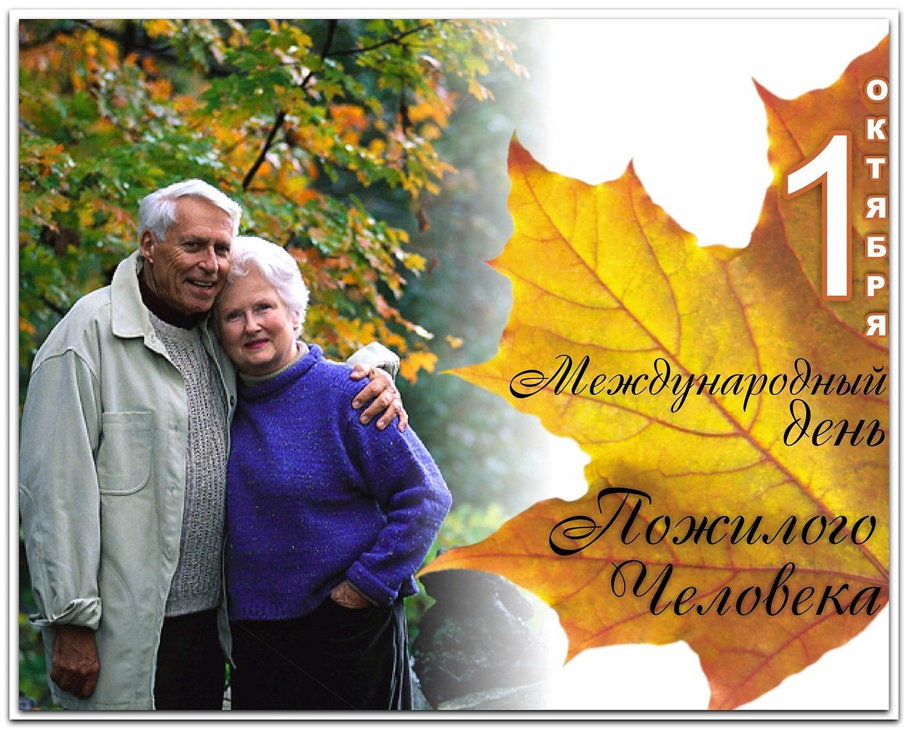 Картинки ко дню пожилого человека: открытки на день добра и уважения к 1 октября 