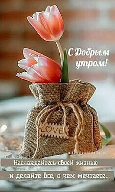 ***Victoria Viktorovna*** - 11  2021  04:18