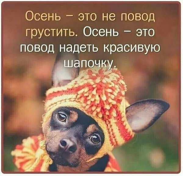 ***Victoria Viktorovna*** - 6  2021  16:40