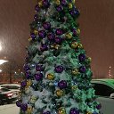  , -, 54  -  30  2021    