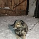 ���� ��������, ������, 66 ��� - ��������� 7 ������ 2022 � ������ ���� ����������