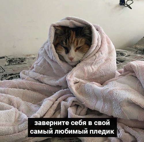  ,    - 6