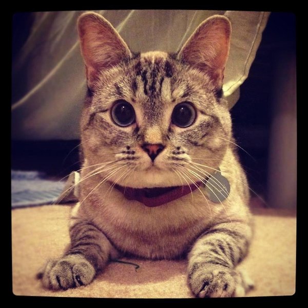       - 31  2021  15:18 - 3