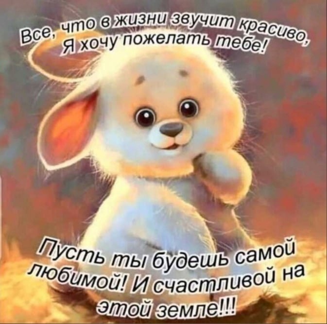   ,    . - 23  2021  15:35