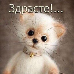 , , 47 
