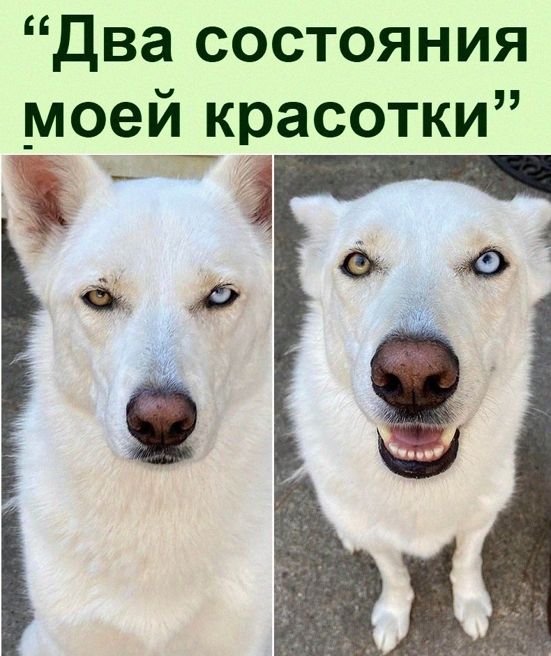   :D - 20  2021  18:31