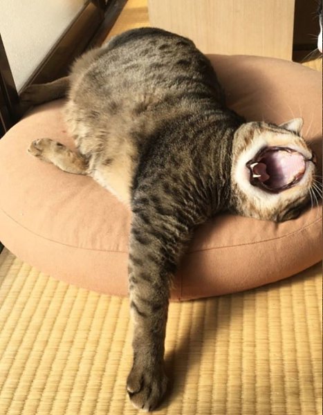       - 13  2021  11:52 - 3