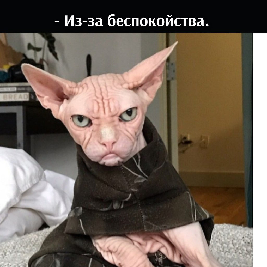       - 11  2021  10:32 - 2