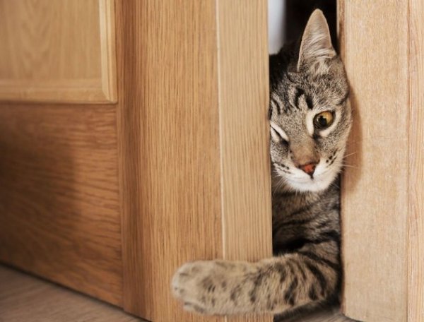  ...  ?     ?     ?    !   ...