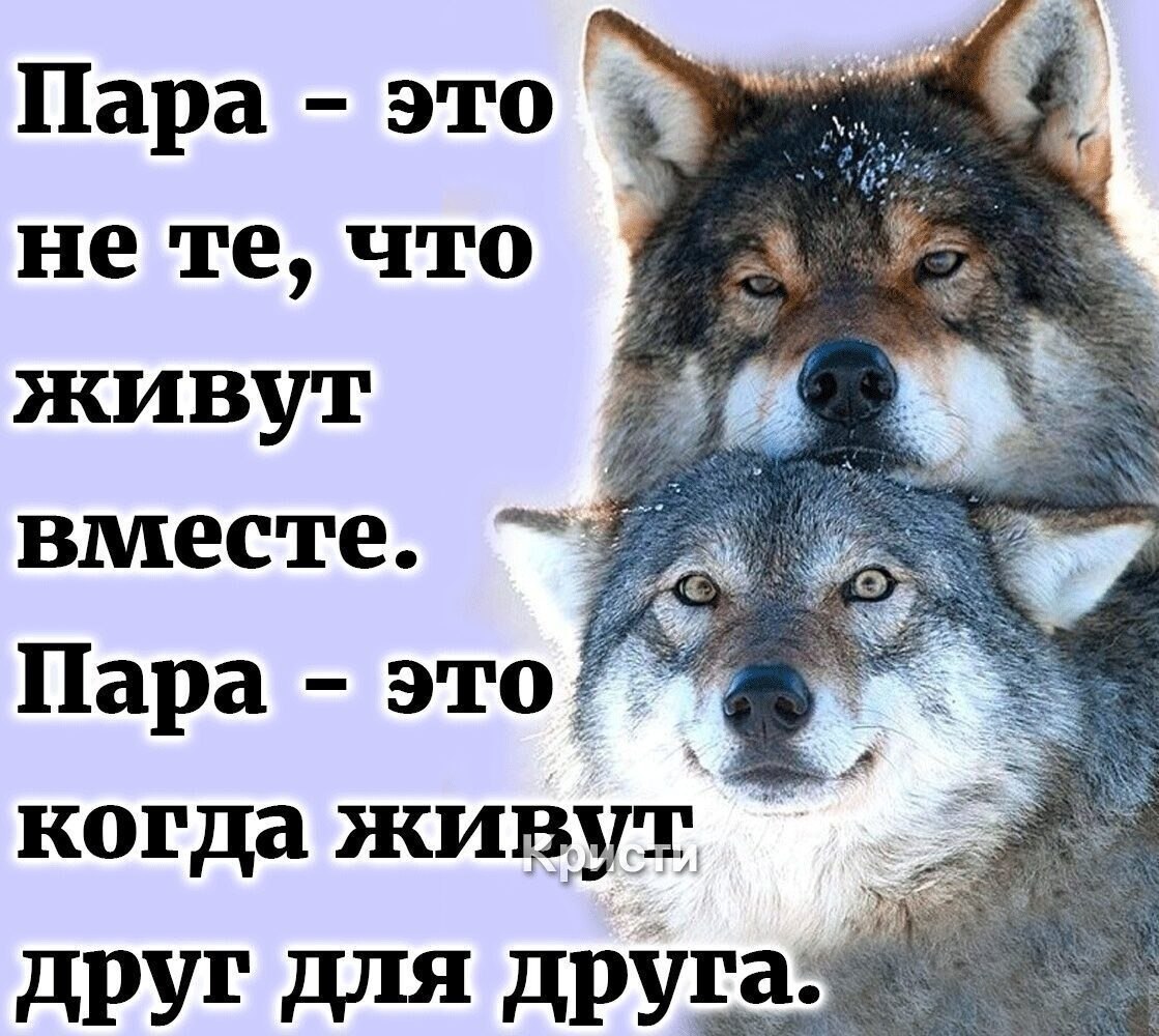  - 27  2021  20:19