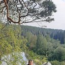 ���� ������, ������������, 44 ���� - ��������� 3 ������� 2022 � ������ ���� ����������