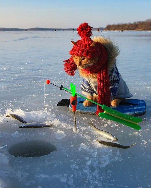   - 24  2021  16:19