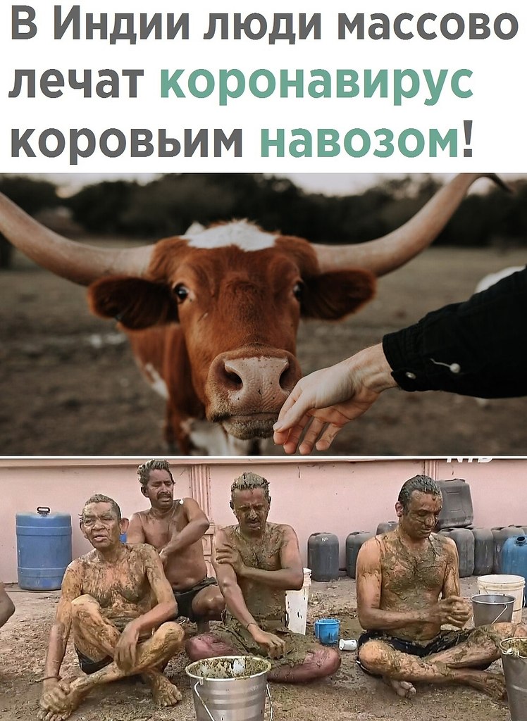    - 16  2021  16:31