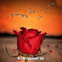 ���� �������, ������� - ��������� 31 ����� 2021 � ������ ������
